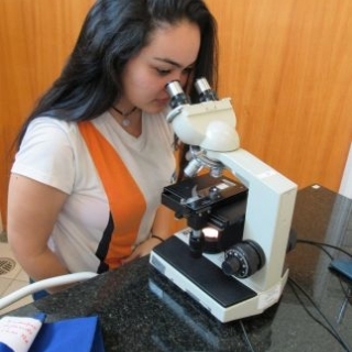 Ensino médio Colégio O Farol