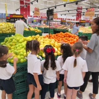 Ensino Fundamental I Colégio O Farol